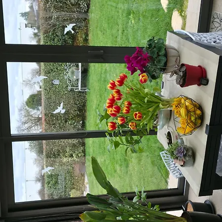 Proche Circuit 24h Du Mans Frühstückspension Spay