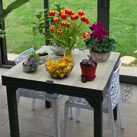 Proche Circuit 24h Du Mans * Spay