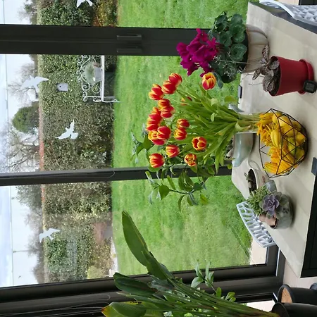 Proche Circuit 24h Du Mans *