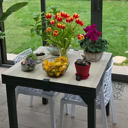 Proche Circuit 24h Du Mans Couette-café