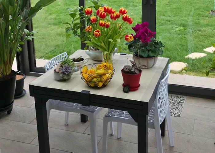 Proche Circuit 24h Du Mans * Spay