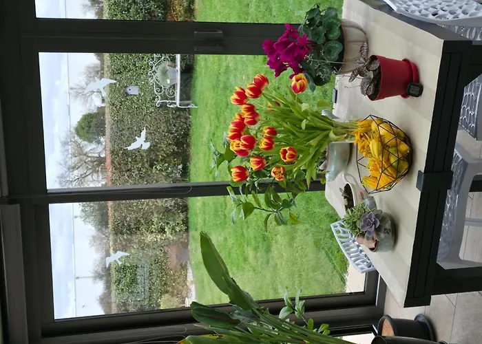 Proche Circuit 24h Du Mans *